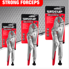 Captura de pantalla 2025-11-01 132342