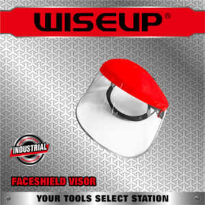 VISOR VISERA